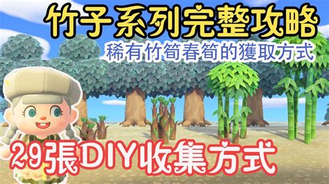 動森種竹子距離|《動物森友會》種樹攻略 小島綠化人人有責